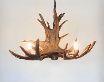 Real Moose Antler Chandelier for 3 Lights