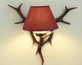 Roe Deer Antler Sconce with Shade