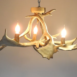 Small White Antler Chandelier