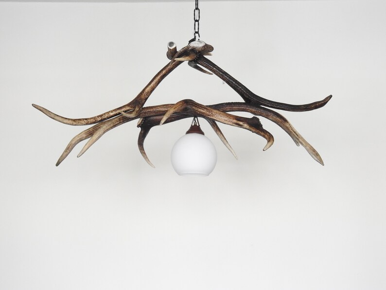 Real Small Antler Chandelier / Fairy Pendant Light for Etsy UK