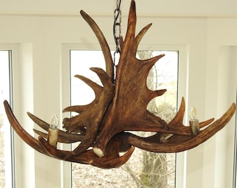 Small Moose Antler Chandelier for 3 Lights.