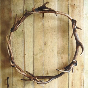 Real Deer Antler Wreath