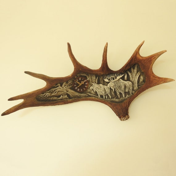 ヘラジカの角 ムース 鹿 天然 剥製 希少 moose antlers 本物のヘラジカ