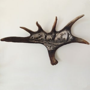 Real Moose Antler Carving shows Deers