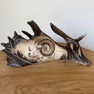 May include: A detailed carving of a ram's head on a dark brown antler. The ram is depicted in profile with a cream-colored coat and large, curved horns. The antler has a natural, textured appearance with white tree branch details.