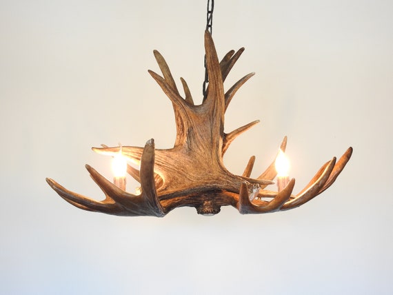 Moose 4 Antler Chandelier