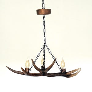 Small Real Deer Chandelier