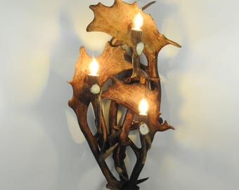 Real Fallow Deer Antler Sconce for 3 Lights