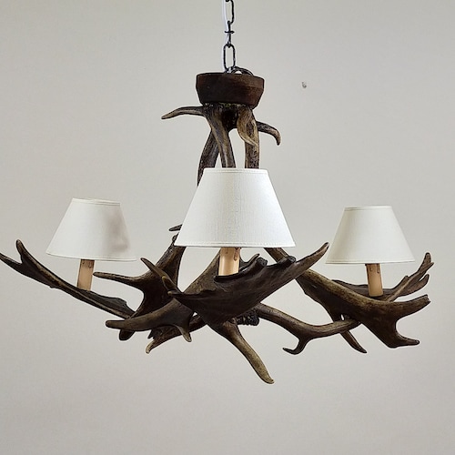Small Antler Chandelier for Low Room Etsy