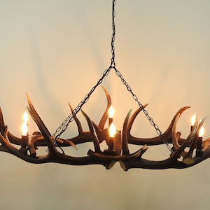 Deer Antler Chandelier with Downlights