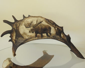 Real Standing Antler Carving shows Standing Moose