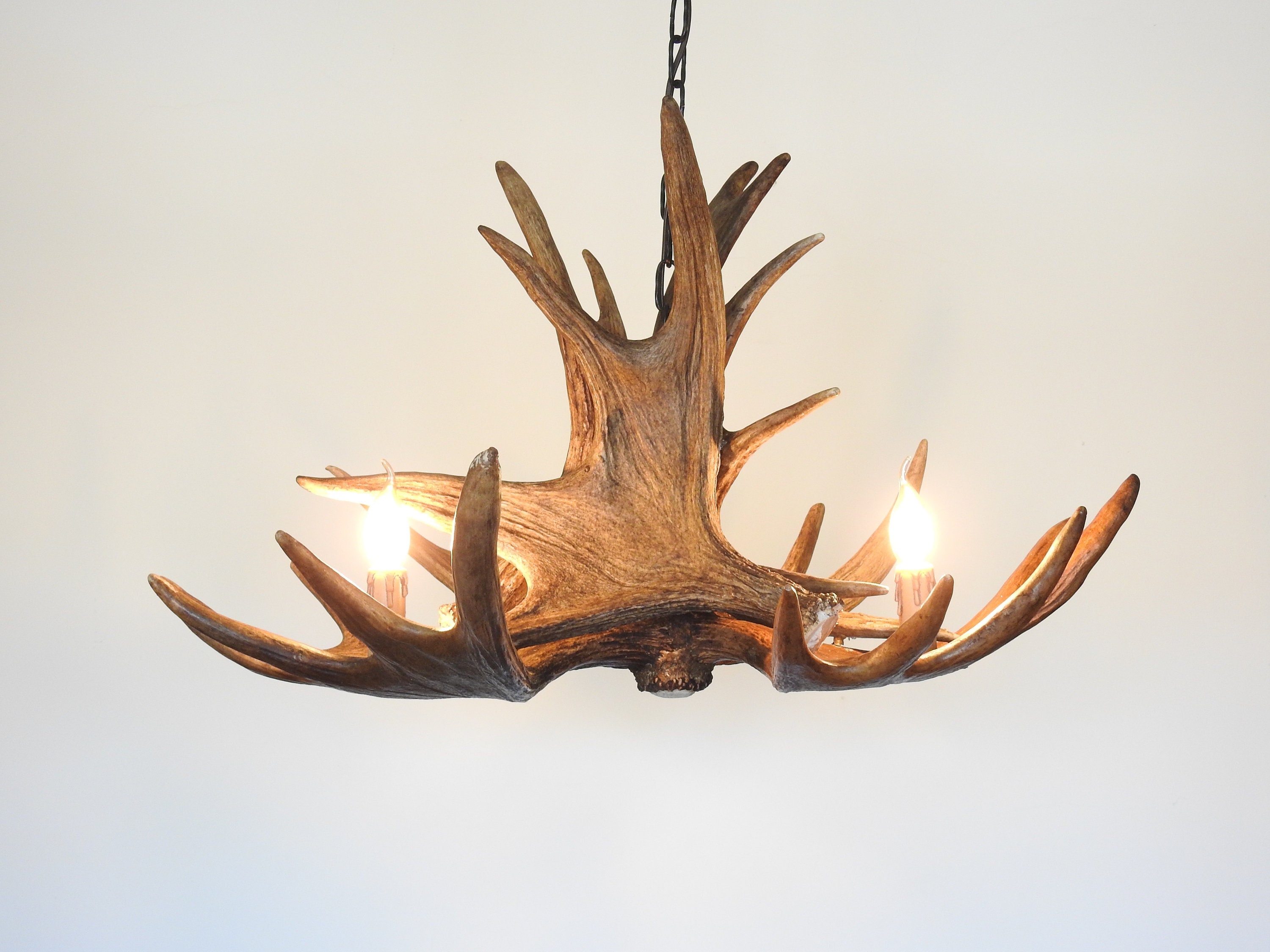 Moose antler light fixtures deals