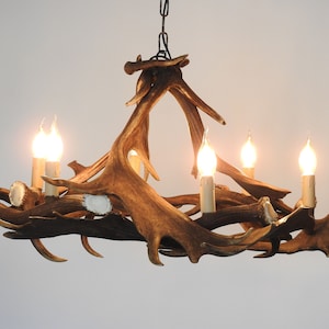 Real Fallow Deer Antler Chandelier for 6 Lights