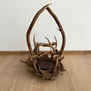 Puede incluir: Un portavelas rústico de cuerno marrón. La base está hecha de una gran pieza de cuerno, con varios cuernos más pequeños que se ramifican para sostener velas. Dos cuernos grandes forman un arco sobre el centro.