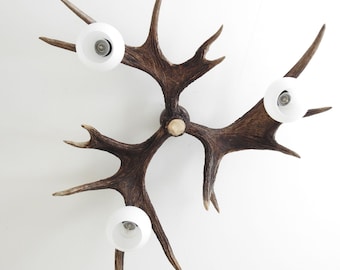 Real Moose Antler Pendant Lamp for Low Ceiling  Rustic Cabin