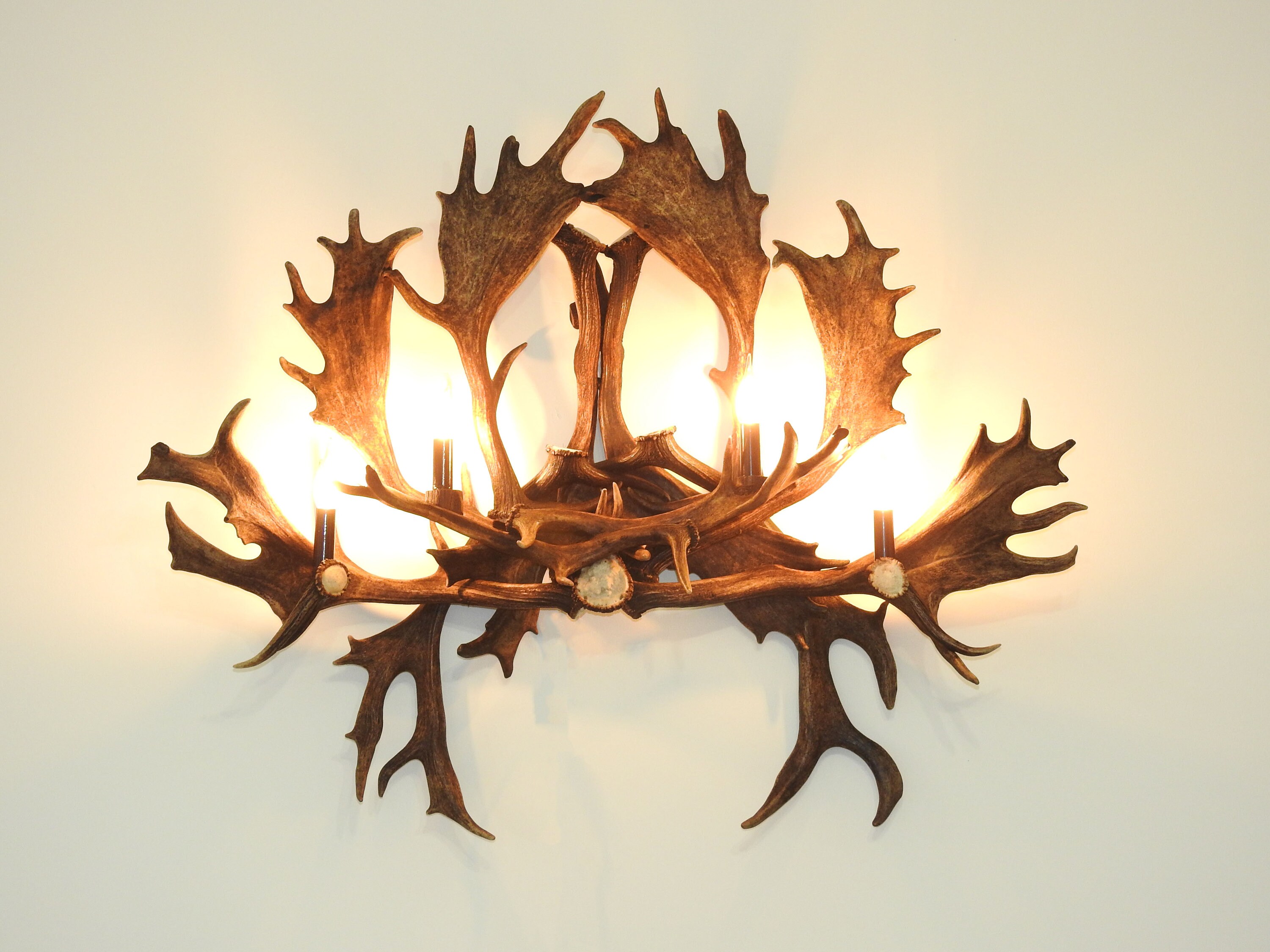 Moose Antler Chandelier Etsy Australia