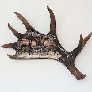Real Moose Antler Carving shows Fighting Fallow Deers