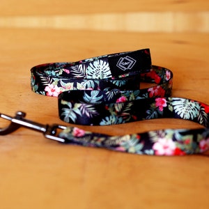 Hawaiian Design Hundehalsband & Hundeleine, Hundeleine, Starke Hundeleine, Hundehalsband mittlerer bis großer Rassen