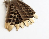 Painted Feathers, Brown Boho Gold Tipped Wedding Feather Decorations, Cruelty Free Feathers
