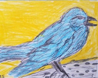 Mountain Blue Bird Print- Birds "Sunshine Day" Animals, Wildlife, Beautiful Pictures of Birds Spring Time
