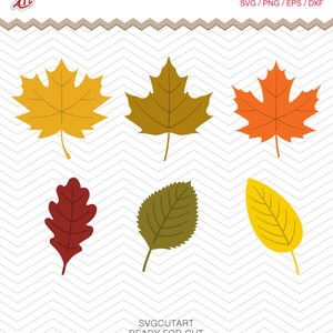 May include: Six autumn leaf designs in various colors, including yellow, orange, red, and green. The leaves are isolated on a white background with a chevron pattern.