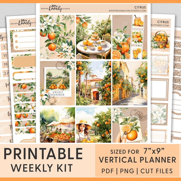 Printable Summer Planner Stickers, Vertical Weekly Sticker Kit, Citrus, Orange, Vacation, Watercolor, Erin Condren Stickers, VS258