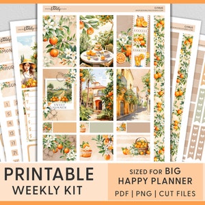 Pegatinas imprimibles del planificador con temática naranja, pegatinas de verano, cítricos, frutas, vacaciones, acuarela, kit de pegatinas semanales Big Happy Planner, BW232
