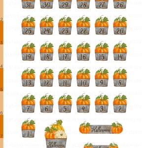 May include: Thirty-one orange pumpkins in galvanized buckets with numbers 1 through 31. The pumpkins are arranged in rows of five, with the last row having only one pumpkin. The pumpkins are all the same size and shape, and they are all facing the viewer. The buckets are all the same size and shape, and they are all painted a silver color. The numbers are all black and white. There are two banners that say "Halloween" in black text on a white background.