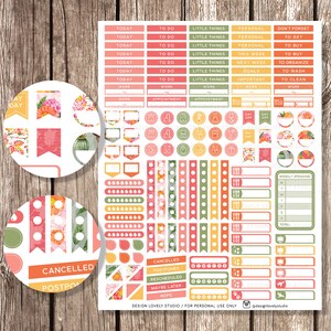 May include: A set of colorful planner stickers with floral designs. The stickers include various shapes, sizes, and text, such as "Today", "To Do", "Little Things", "Work", "Appointment", "Cancelled", "Postponed", "Rescheduled", "Maybe Later", "Nope", and "Weekly Spending".