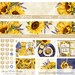 SUNFLOWERS Planner Stickers, Printable Monthly Stickers Kit, for Erin ...