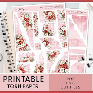 Adesivi stampabili in carta strappata a tema fragola, adesivi in carta strappata, adesivi per diario, adesivi decorativi primaverili, estate, frutta, JS216