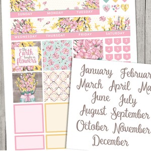 Big Happy Planner Printable Stickers, Big Happy Planner Monthly Kit ...