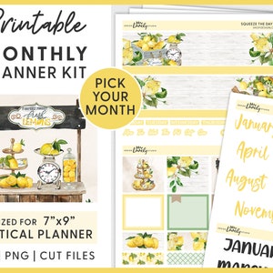 Monthly Planner Stickers, Printable Planner Stickers, Lemon Planner Stickers, Summer Planner Stickers, Erin Condren Planner Stickers, MV201