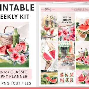Wassermelone Planner Aufkleber, druckbare Aufkleber Wassermelone, Wassermelone Planer Kit, Wassermelone Planner Kit, HP231