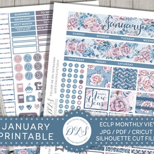Januari maandelijkse Stickers Kit, januari maandelijkse weergave Kit, Planner Stickers januari, voor Erin Condren Life Planner, Nieuwjaar Planner, MV115