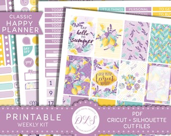 Happy Planner Weekly Stickers, Lemon Planner Stickers, Summer Planner Kit, Printable Happy Planner Stickers, Printable Weekly Kit, HP144