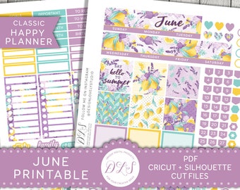 Happy Planner JUNE Monthly Kit, Printable June Monthly Stickers Kit ...