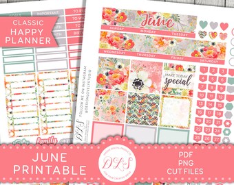 Printable JUNE Stickers Kit, Happy Planner JUNE Monthly Stickers Kit, Floral Monthly Kit, Spring Monthly Kit, Cut Files, HPMV177