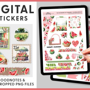 Digitale zomer journaling stickers, watermeloen digitale stickers, Goodnotes planner stickers, fruit stickers, iPad stickers, DJ106