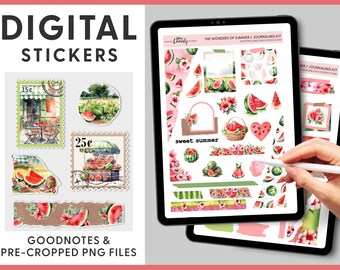 Digital Summer Journaling Stickers, Watermelon Digital Stickers, Goodnotes Planner Stickers, Fruit Stickers, Ipad Stickers, DJ106