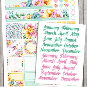 Happy Planner Monthly Kit, Happy Planner Monthly Stickers, Editable ...