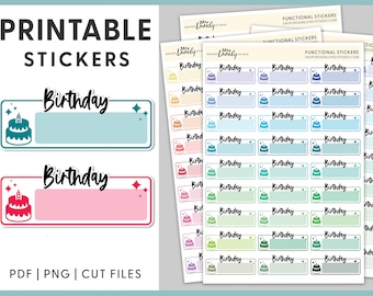 Printable Birthday Planner Stickers, Birthday Box Stickers, Birthday Reminder Stickers, Printable Planner Stickers, Cut Files, FS198
