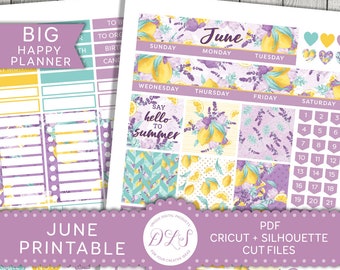 June Big Happy Planner Stickers, Printable Big Happy Planner Stickers, Printable June Monthly Kit, Summer Monthly Stickers, Cut Files, BM117