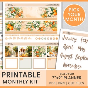 Juni Monatliches Kit, Juli Planer Aufkleber, August Monatliches Aufkleber Kit, Sommer druckbare Planer Aufkleber, Zitrus, Orange, Erin Condren, VM250