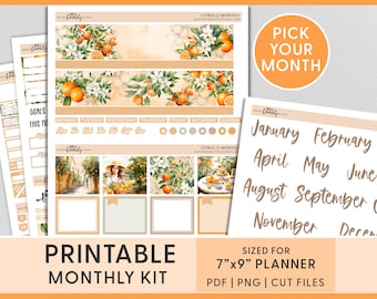 June Monthly Kit, July Planner Stickers, August Monthly Sticker Kit, Summer Printable Planner Stickers, Citrus, Orange, Erin Condren, MV250