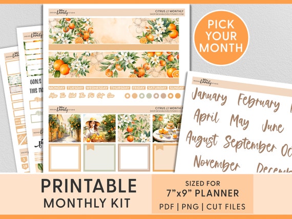 June Monthly Kit, July Planner Stickers, August Monthly Sticker Kit, Summer Printable Planner Stickers, Citrus, Orange, Erin Condren, MV250