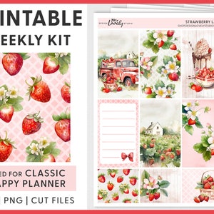 Aardbei Planner Stickers, Happy Planner Afdrukbare Stickers, Wekelijkse Stickers Kit, Lente Planner Stickers, Zomer Planner Kit, HP230