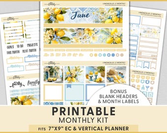 Adesivi per agenda stampabili con limoni, kit mensile di giugno per Erin Condren, opzione per qualsiasi mese, spiaggia, oceano, viaggi estivi, costa italiana, MV296