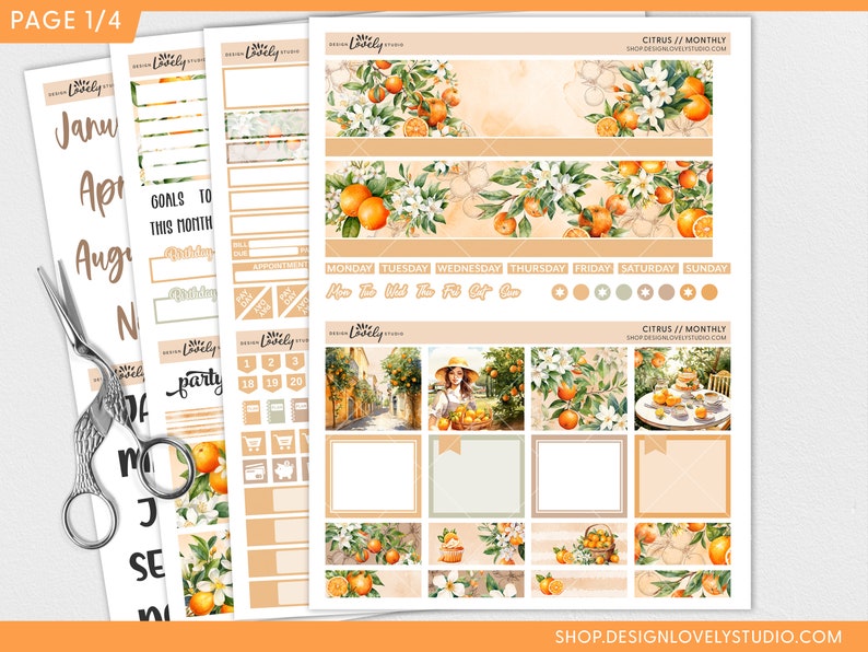 Puede incluir: Un conjunto de pegatinas de planificador con tem&aacute;tica de c&iacute;tricos naranjas con un dise&ntilde;o de acuarela. Las pegatinas incluyen un calendario, cajas y una variedad de otros dise&ntilde;os. Las pegatinas son perfectas para agregar un toque de color y personalidad a tu planificador.