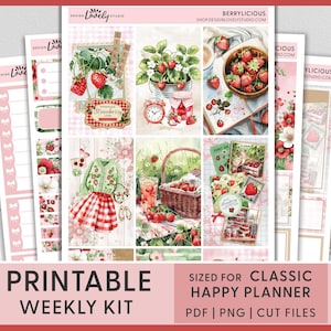 Pegatinas de fresa para planificador, pegatinas de primavera, pegatinas imprimibles, pegatinas de bayas, pegatinas de verano, kit de pegatinas semanales Happy Planner, HP274